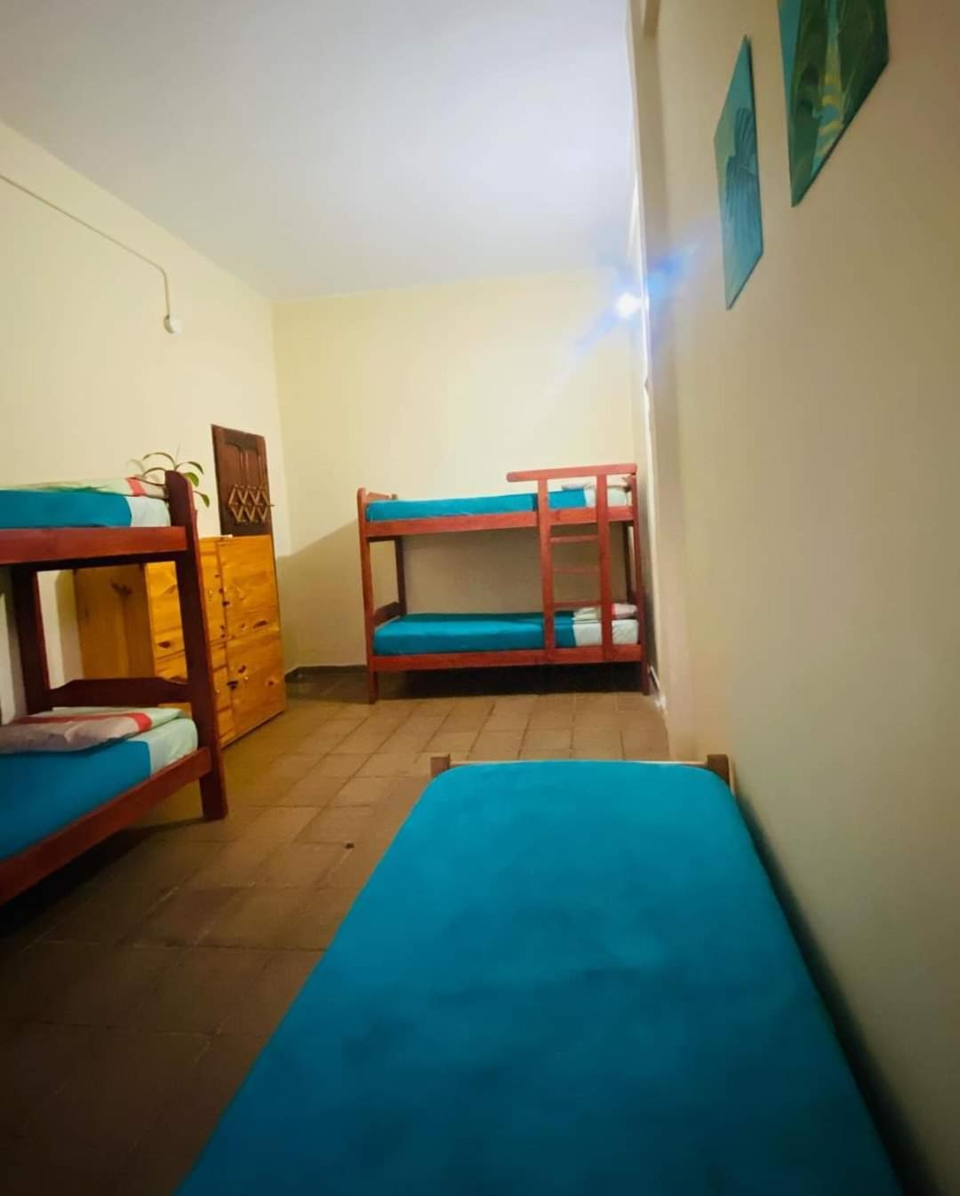 Benteveo Hostel Iguazu Πουέρτο Ιγκουασού Εξωτερικό φωτογραφία
