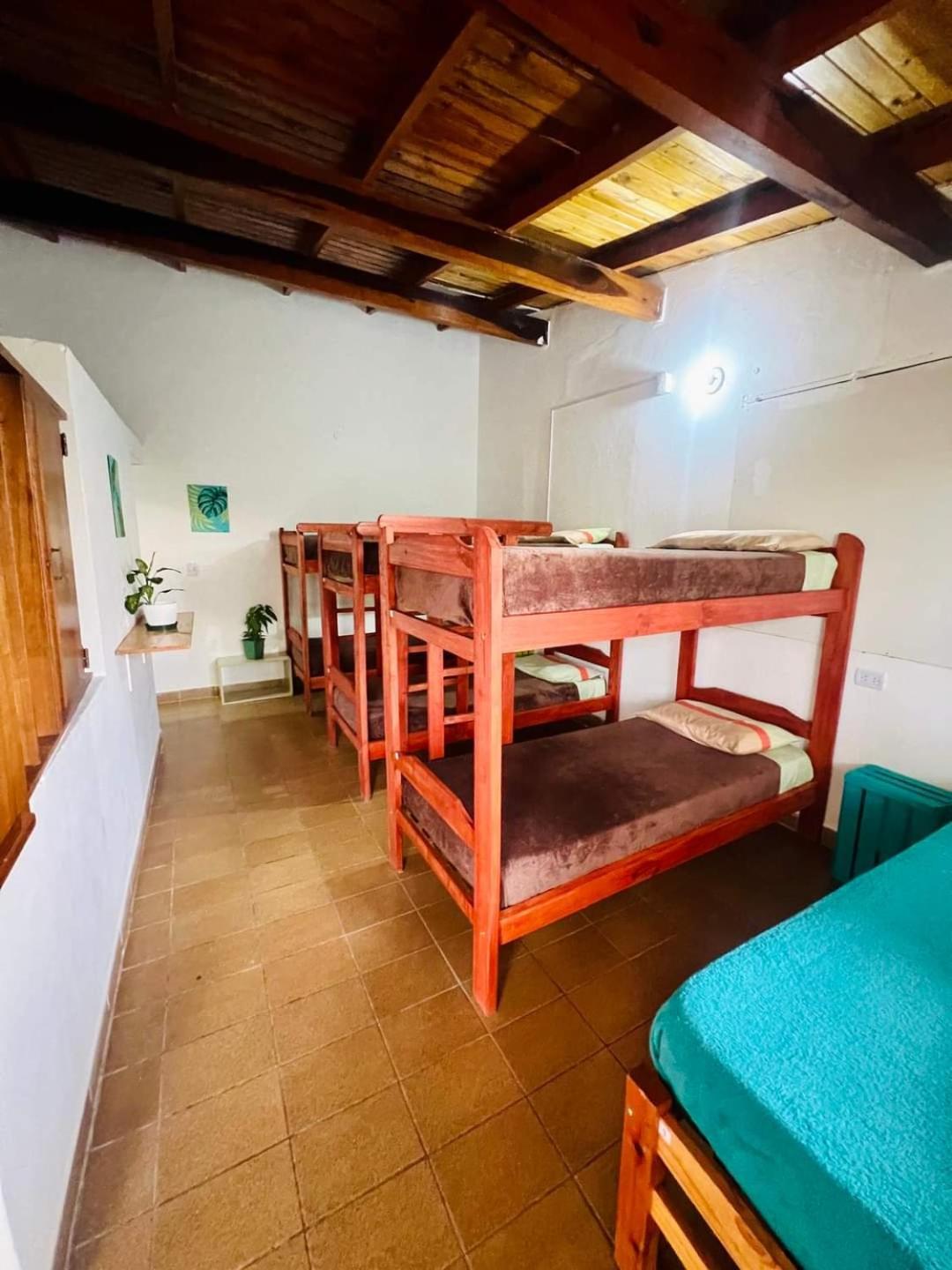 Benteveo Hostel Iguazu Πουέρτο Ιγκουασού Εξωτερικό φωτογραφία