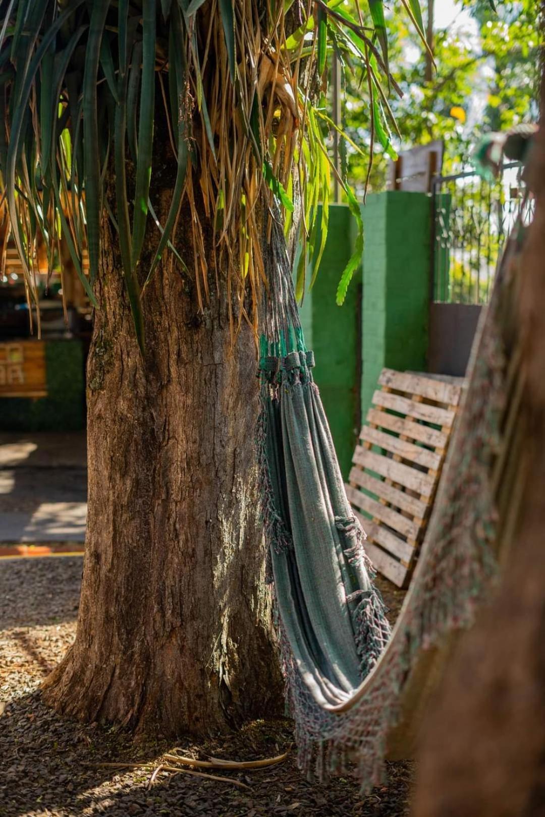 Benteveo Hostel Iguazu Πουέρτο Ιγκουασού Εξωτερικό φωτογραφία
